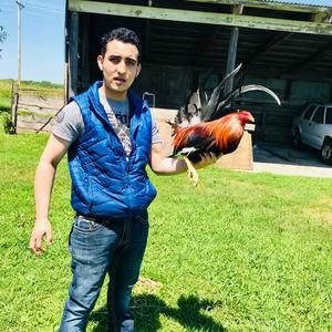 Meet your Posher, Jorge miguel